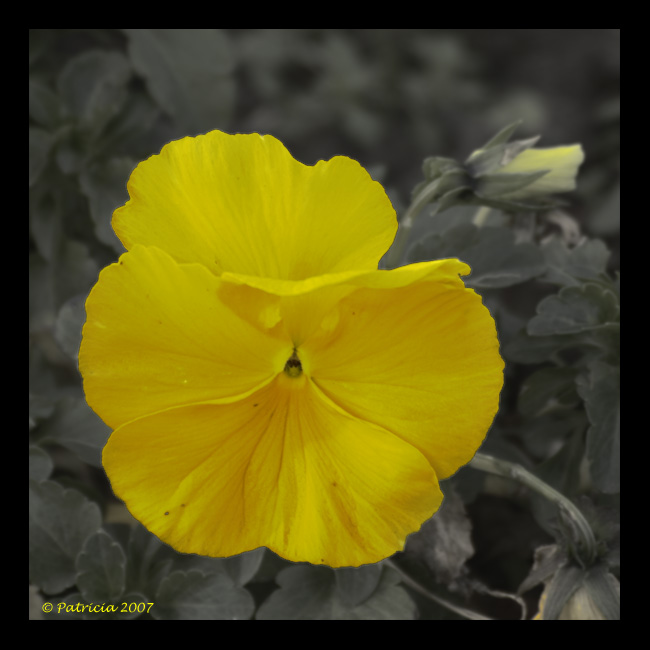 Image Hosted by ImageShack.us